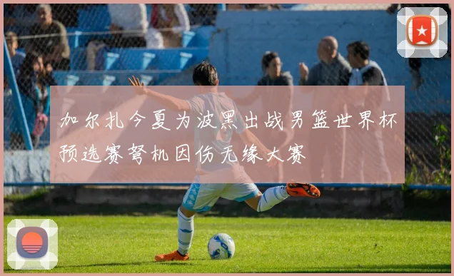 加尔扎今夏为波黑出战男篮世界杯预选赛弩机因伤无缘大赛