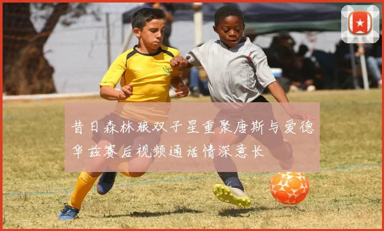 昔日森林狼双子星重聚唐斯与爱德华兹赛后视频通话情深意长